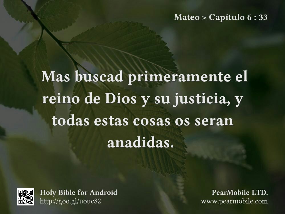Mateo, Capítulo 6:33